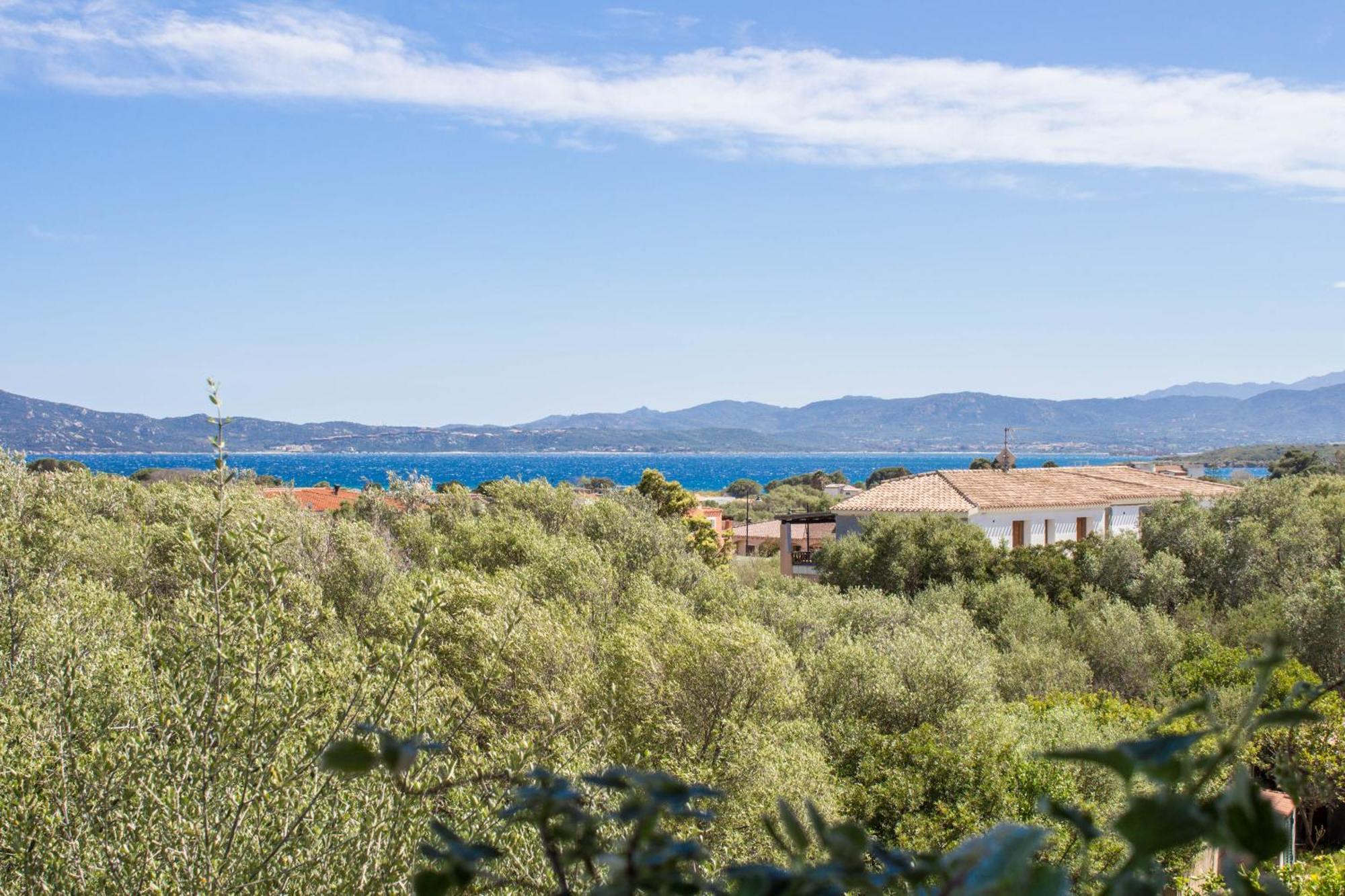 Rovo House, Pittulongu, Olbia, Sardinia Villa Екстериор снимка
